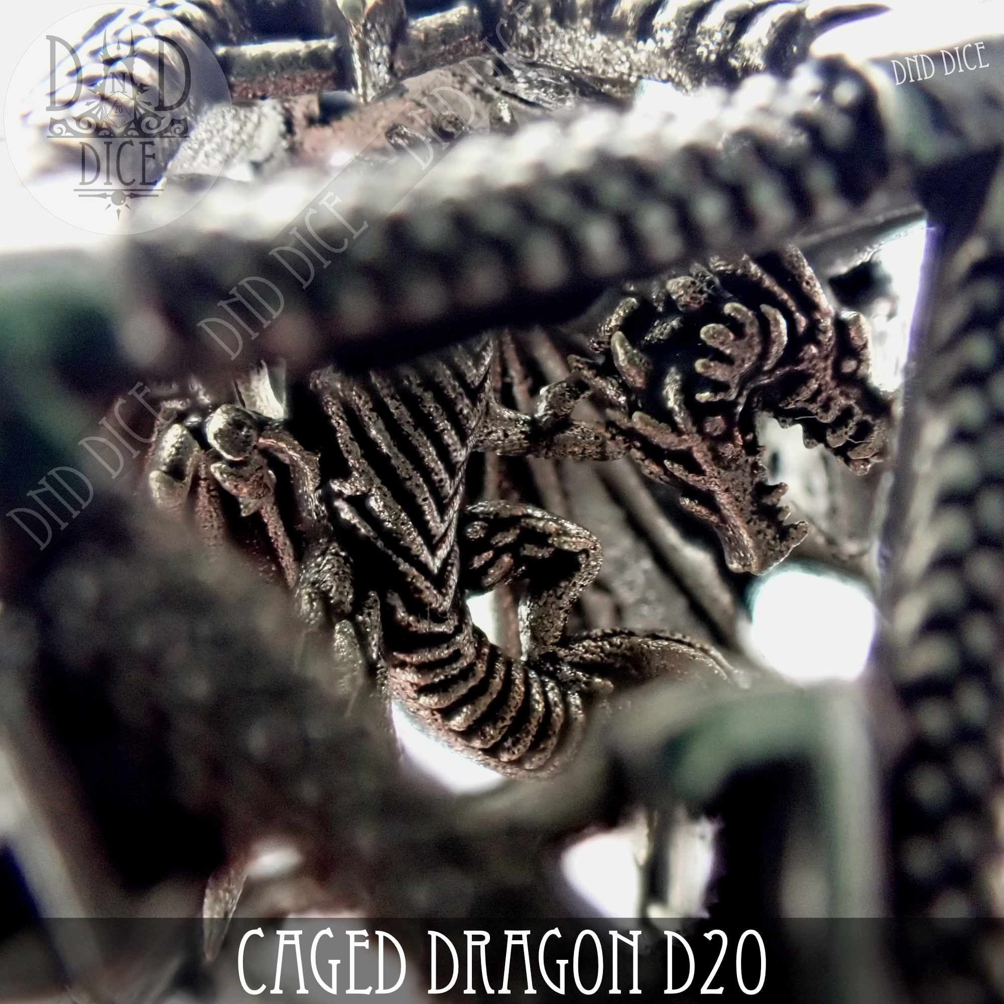 Caged Dragon D20 (6 Colors) - Image 4